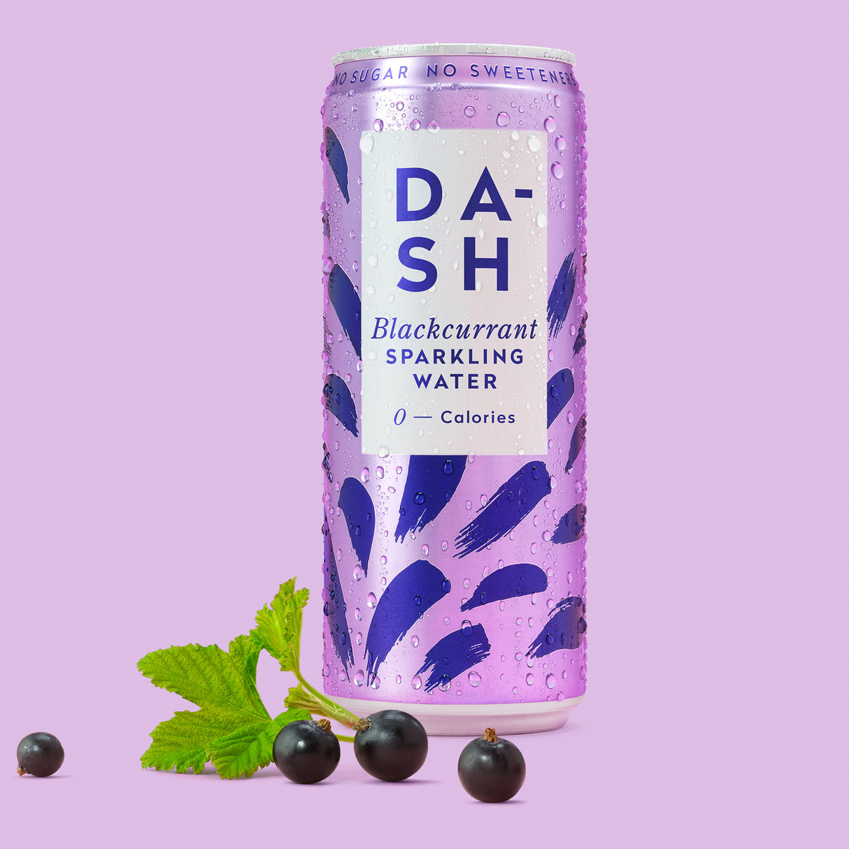 DASH SPARKLING BLACKCURRANT CANS (330ml) x 12