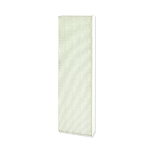 FELLOWES DX5 SMALL TRUE HEPA FILTER 9287001