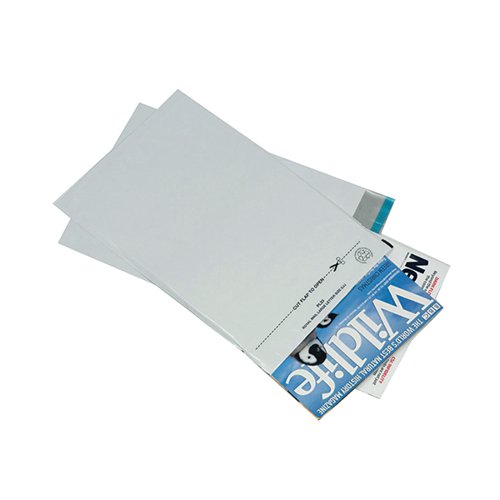 GOSECURE ENVELOPE LIGHTWEIGHT POLYTHENE 235X310MM OPAQUE (PA