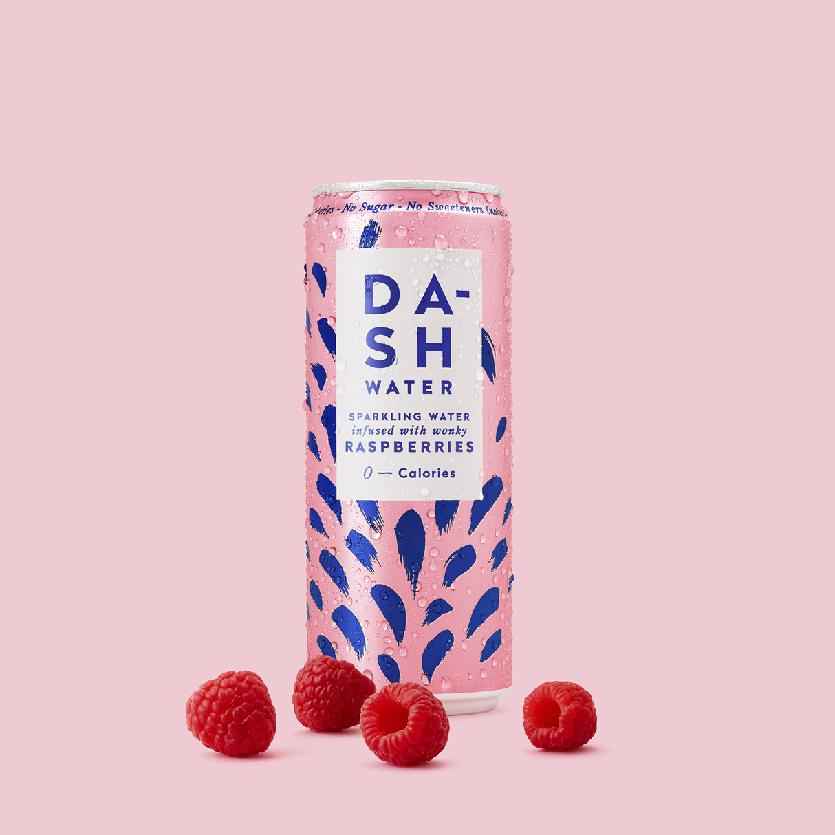 DASH WATER SPARKLING RASPBERRY CANS (330ml) x 12