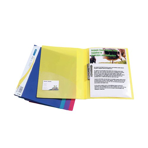 RAPESCO CLAMP BINDER A4 ASSORTED (PACK OF 10) 0793