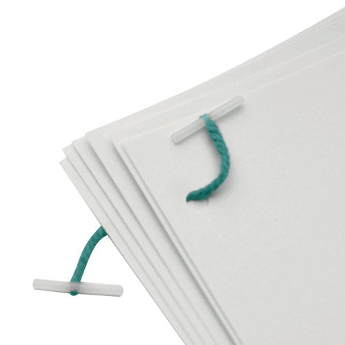 Q-CONNECT PLASTIC TREASURY TAG 127MM (PACK OF 100) KF04574
