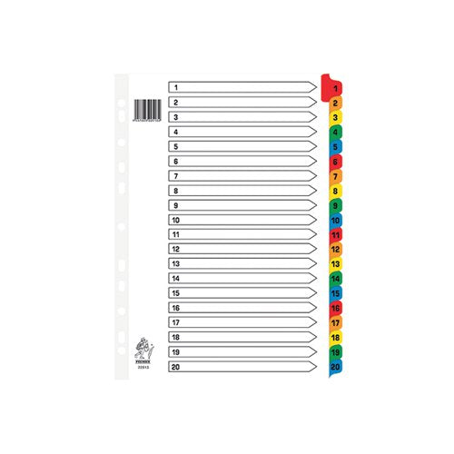 ASSORTED A4 1-20 MYLAR INDEX WX01521